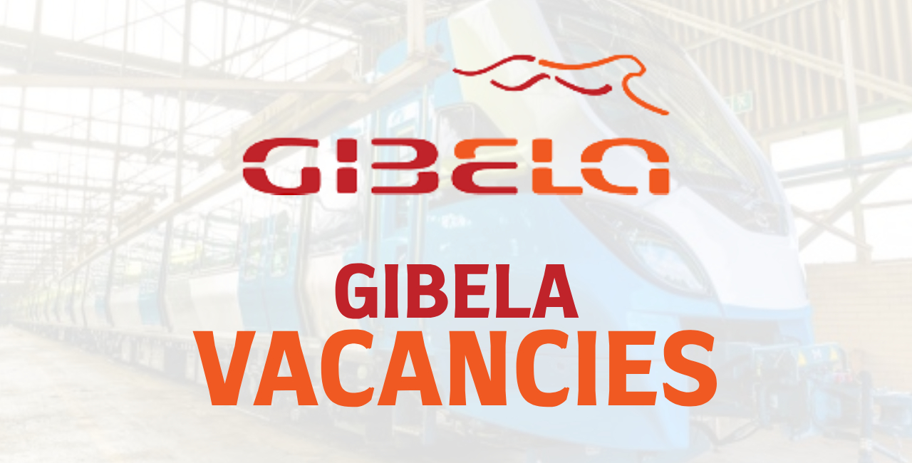 GIBELA Vacancies