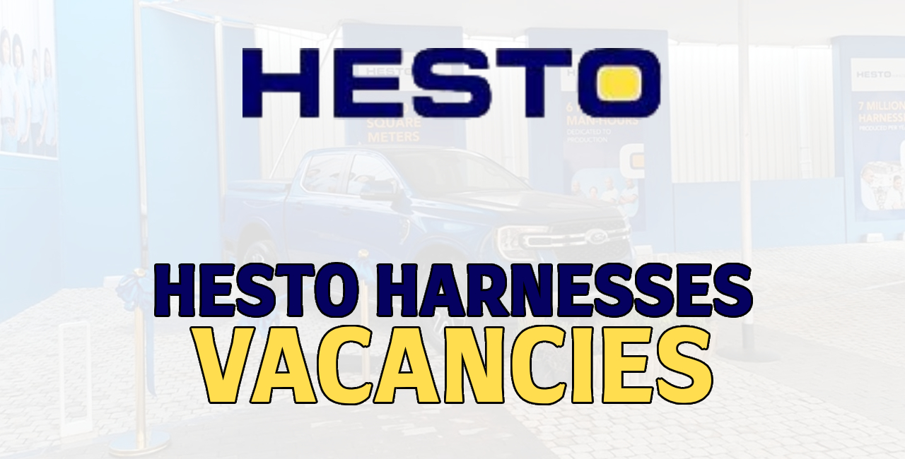Hesto Harnesses Vacancies